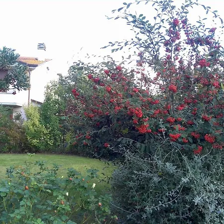 Гостевой дом Anne's House