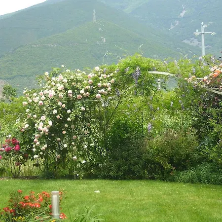 Anne's House